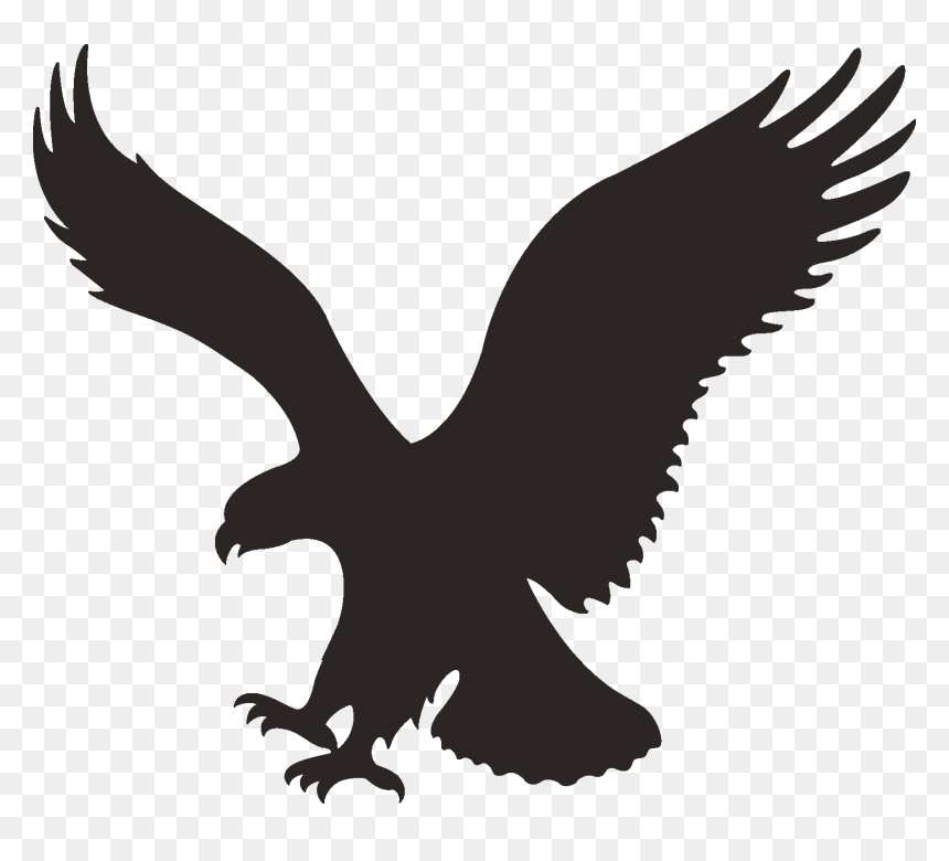 American Eagle